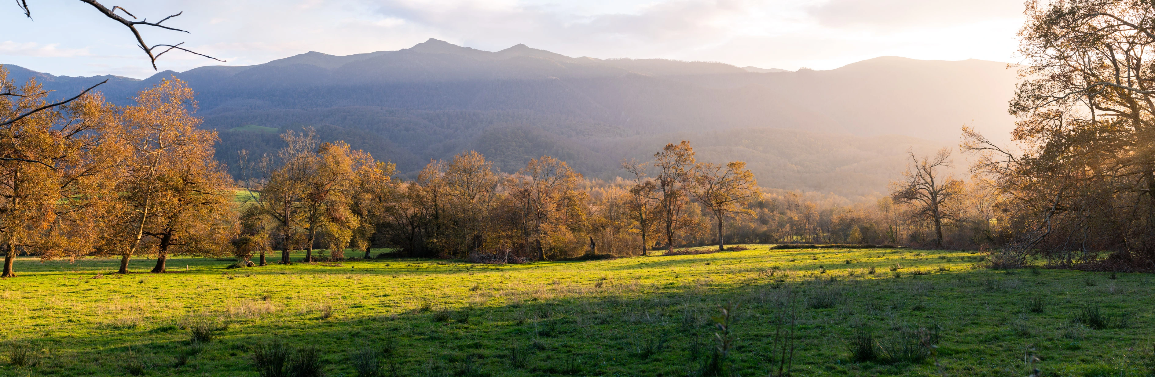 panorama 4