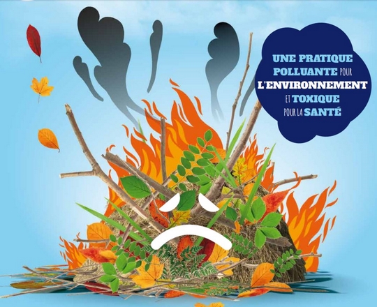 illustration-Brûlage des déchets